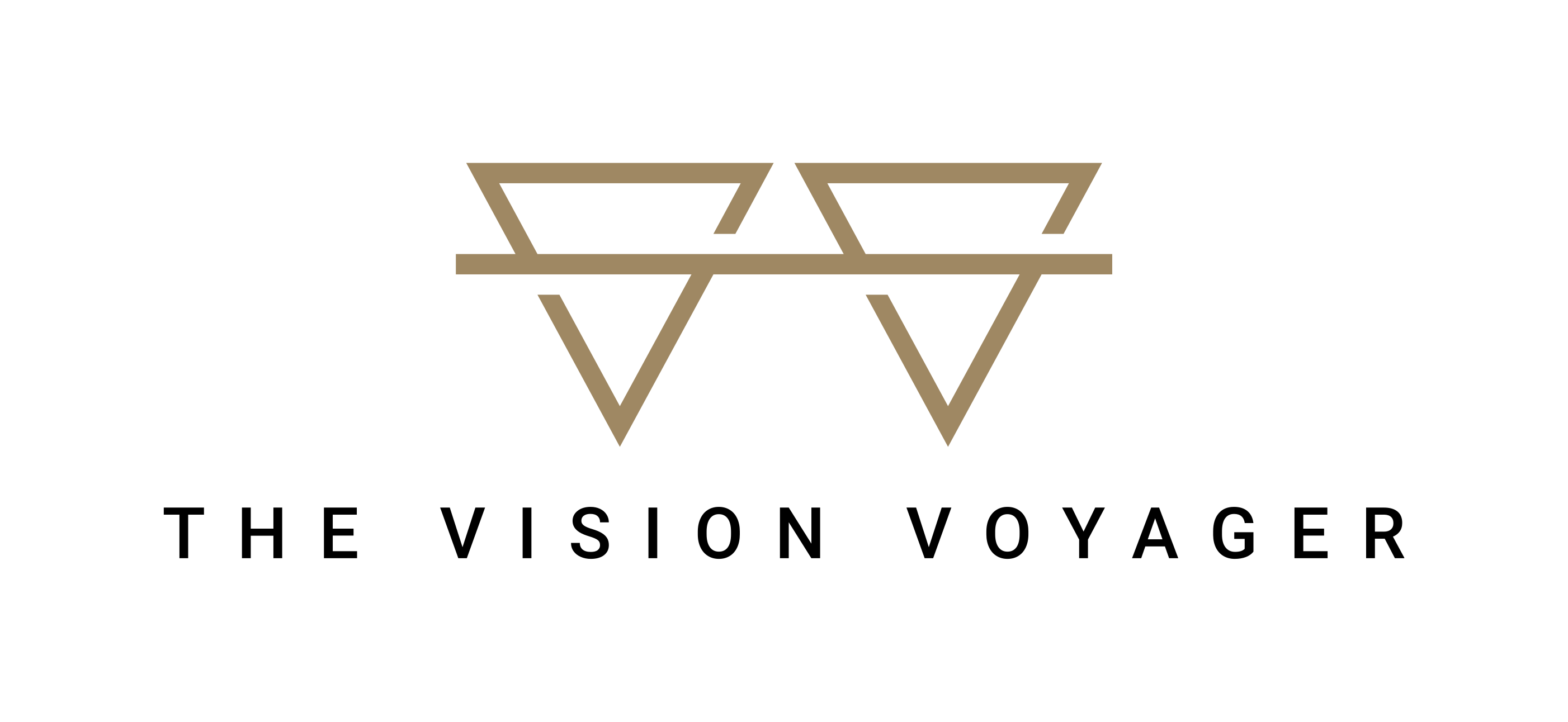 The Vision Voyager